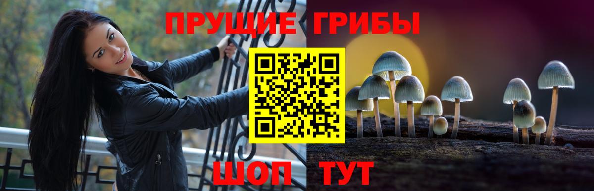 Псилоцибиновые грибы ЛСД Коммунар